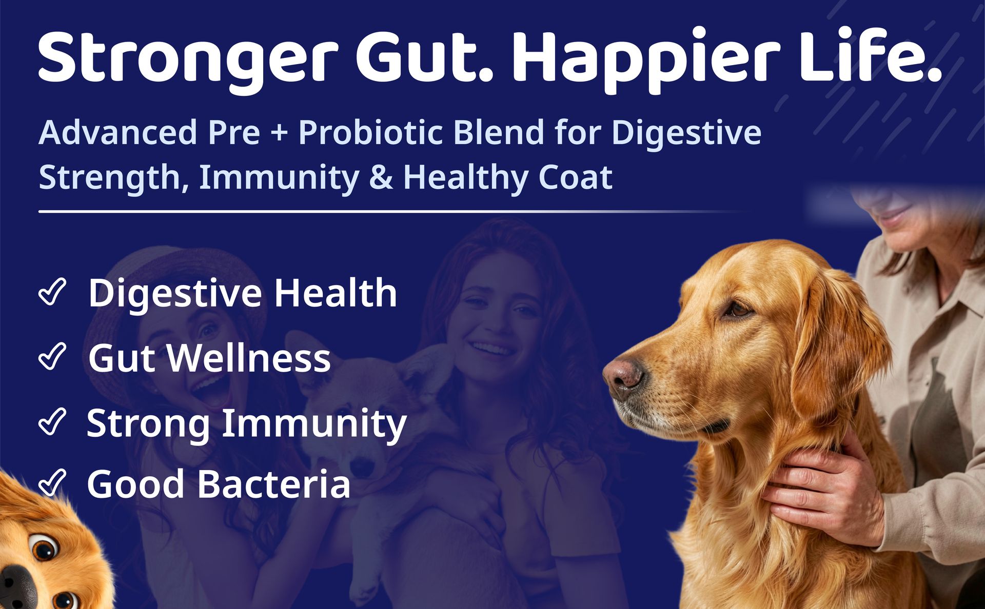 Boltz Pre & Probiotics for Dogs 200g | 9B CFU with Digestive Enzymes | Supports Digestion, Firmer Stools & Gut Balance | Helps Reduce Gas, Bloating, Skin Allergies, Scratching & Paw-Licking