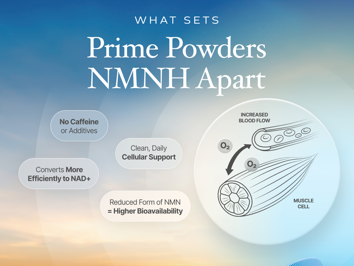 Prime Powders NMNH Capsules, Dihydronicotinamide NAD+ Support, 120 Count