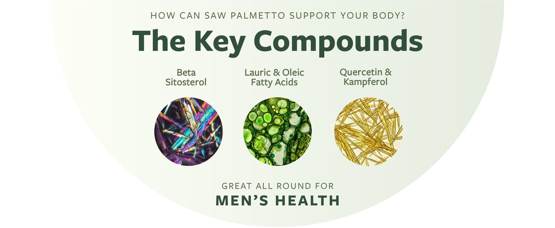 PURE CO USDA Organic Saw Palmetto Supplement - Organic Saw Palmetto for Women & Men's Urinary Tract Prostate & DHT Blocker for Women - Whole Berries - Vegan Non-GMO & Lab Verified (4 Month Supply)