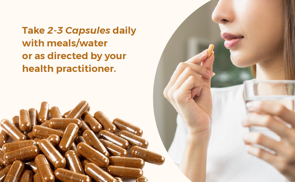 Rooted Active's Organic Chaga Capsules - Immune System Support Supplement, Antioxidant Activity Support, Regulate Body Functions, Immune Support vegan Extract, Dietary Mushroom Supplement (60 Caps)