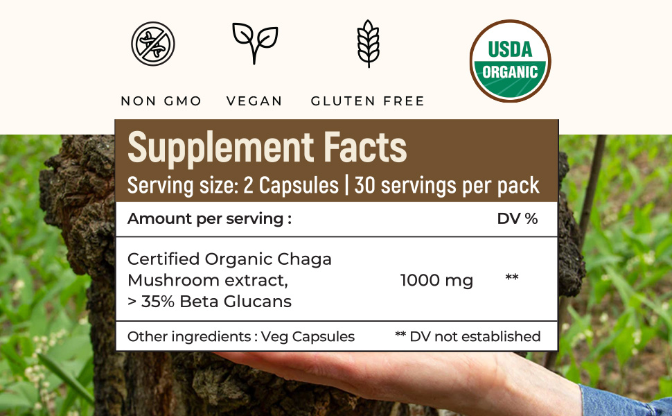 Rooted Active's Organic Chaga Capsules - Immune System Support Supplement, Antioxidant Activity Support, Regulate Body Functions, Immune Support vegan Extract, Dietary Mushroom Supplement (60 Caps)