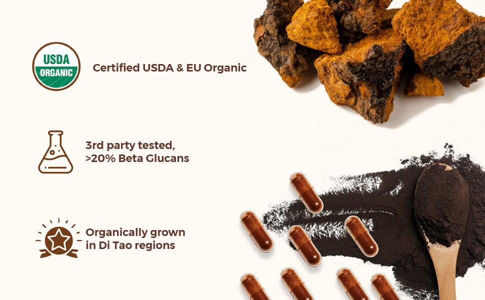 Rooted Active's Organic Chaga Capsules - Immune System Support Supplement, Antioxidant Activity Support, Regulate Body Functions, Immune Support vegan Extract, Dietary Mushroom Supplement (60 Caps)