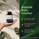 naturebell-huperzine-a-400mcg-240-capsul-4.jpg
