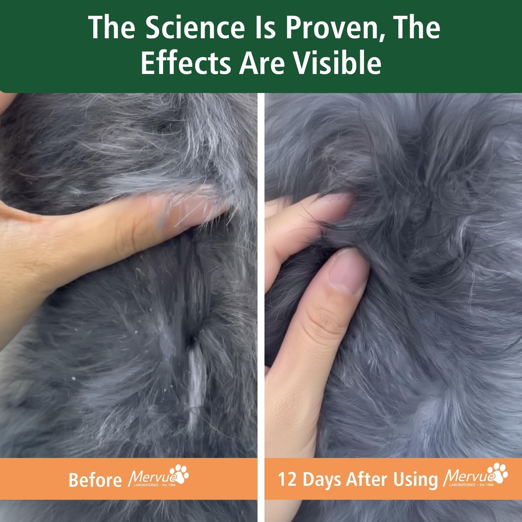 mervue-skin-and-coat-supplement-for-dogs-4.jpg