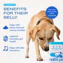 native-pet-probiotic-powder-for-dogs-4-1-2.jpg