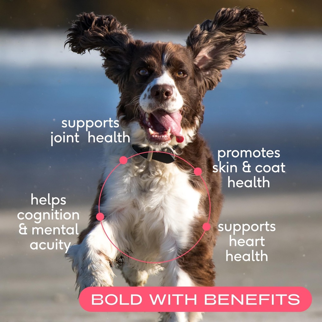 native-pet-healthy-belly-shiny-coat-bund-3.jpg