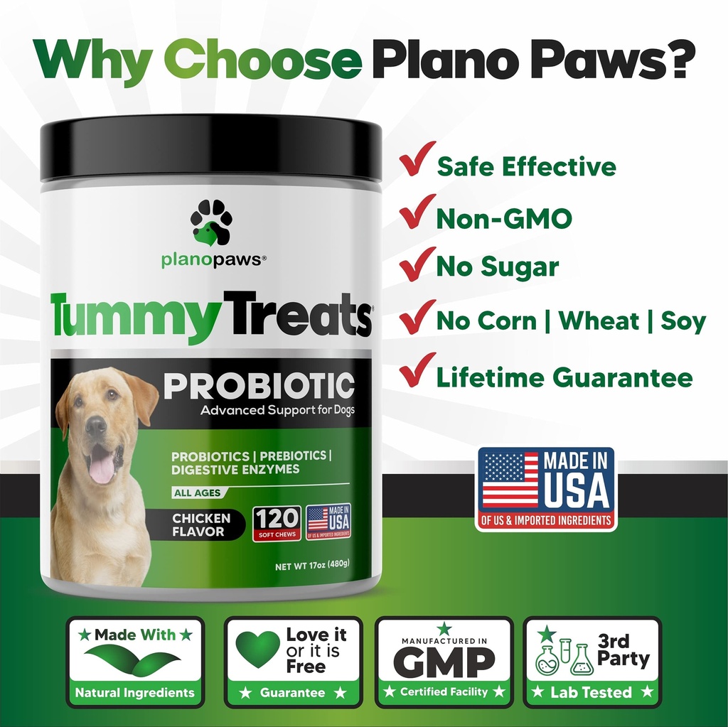 probiotics-for-dogs-digestive-health-dog-3.jpg