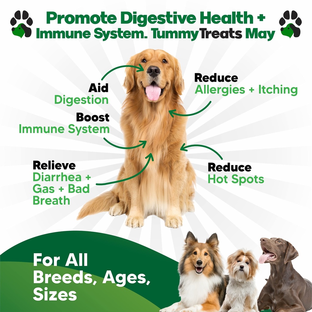 probiotics-for-dogs-digestive-health-dog-2.jpg