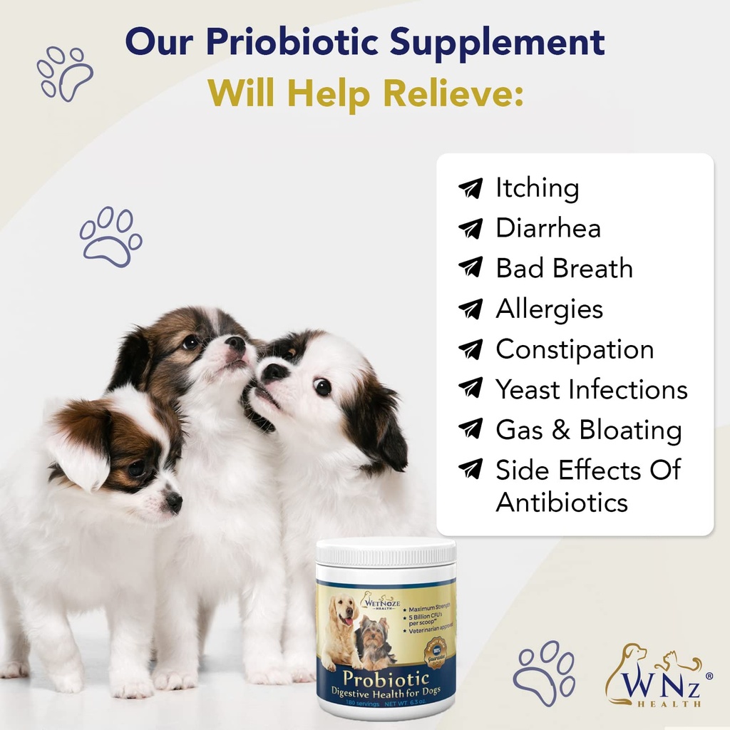 probiotics-for-dogs-digestive-health-chi-6.jpg