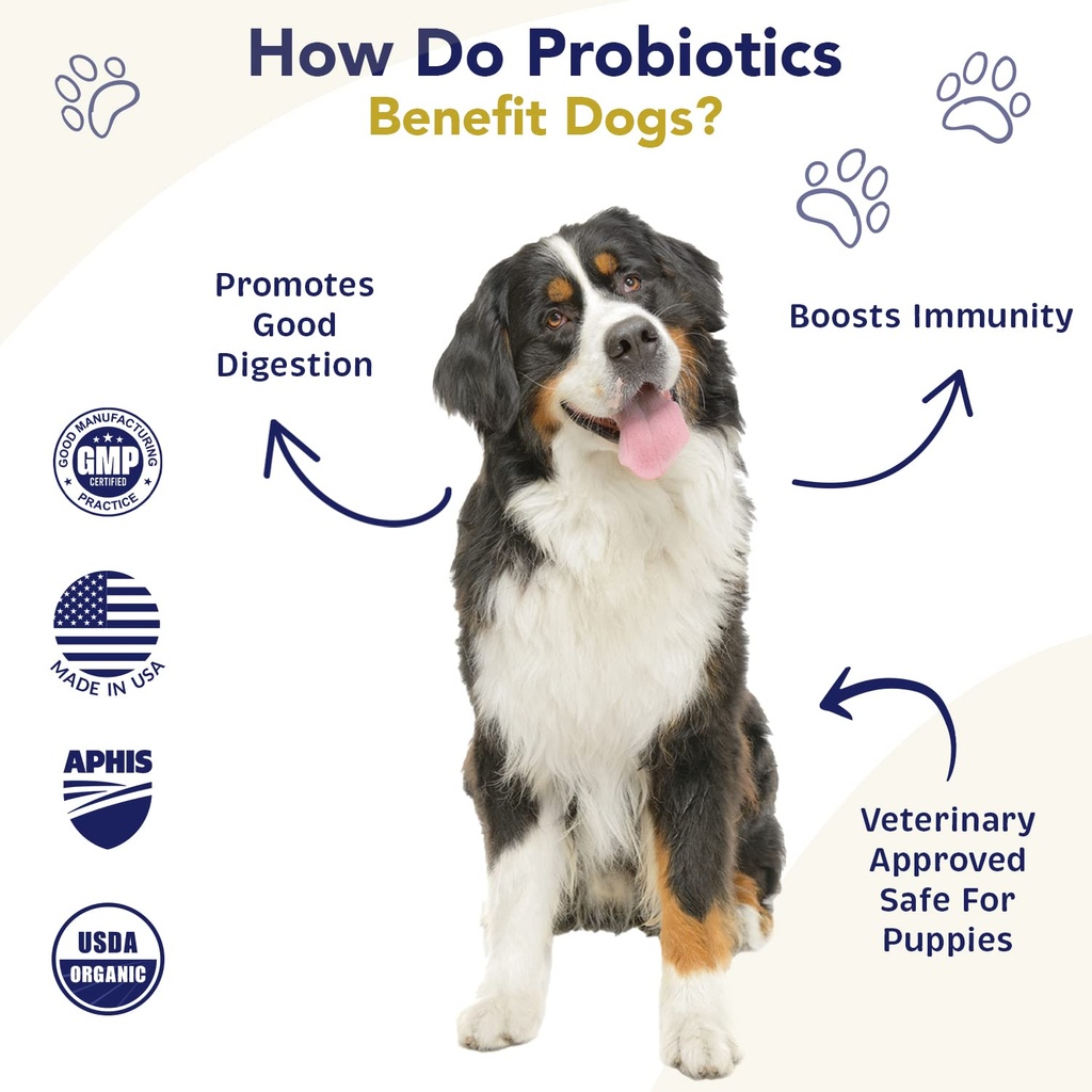 probiotics-for-dogs-digestive-health-chi-5.jpg