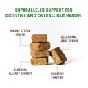 rocco-roxie-probiotics-for-dogs-support--3.jpg
