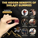 shilajit-gummies-l-manuka-honey-himalaya-3.jpg