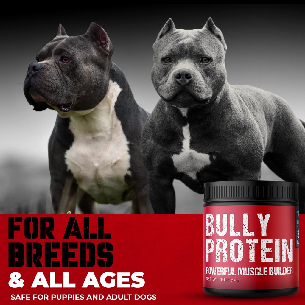 convenient-real-meat-protein-powder-for--3.jpg