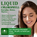 chlorophyll-liquid-drops-98-high-absorpt-2.jpg