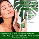 chlorophyll-liquid-drops-98-high-absorpt-6.jpg