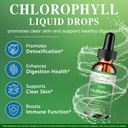 chlorophyll-liquid-drops-98-high-absorpt-4.jpg