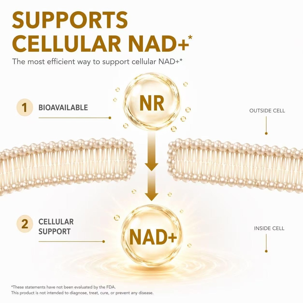 nad-supplement-for-women-and-men-with-ni-4.jpg