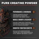 birdman-falcon-performance-vegan-protein-4.jpg