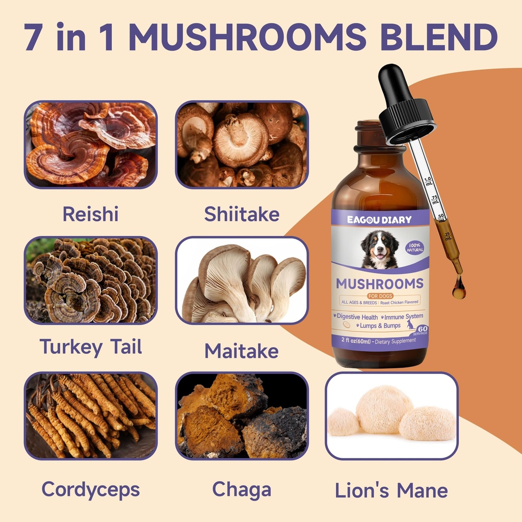 mushroom-for-dogs-with-turkey-tail-mushr-2.jpg
