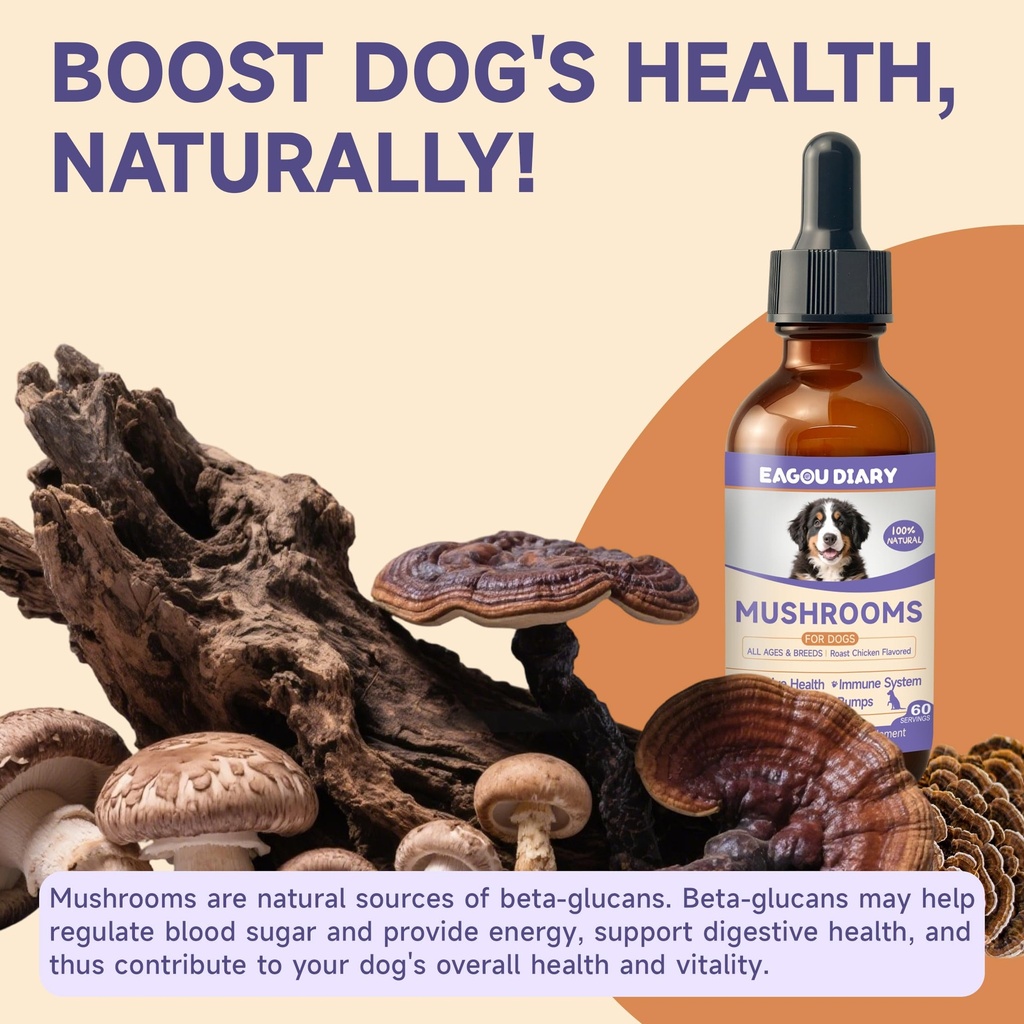 mushroom-for-dogs-with-turkey-tail-mushr-6.jpg