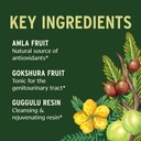 banyan-botanicals-gokshuradi-guggulu-pow-2.jpg