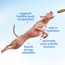 native-pet-skin-wellness-bundle-sockeye--3.jpg