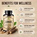herbalicious-licorice-root-100-capsules--5.jpg