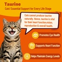 taurine-powder-for-cats-dogs-chicken-fla-3.jpg