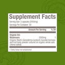 om-mushroom-superfood-reishi-mushroom-ca-5.jpg