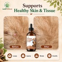 turkey-tail-mushroom-for-dogs-lipoma-sup-3.jpg