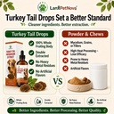 turkey-tail-mushroom-for-dogs-lipoma-sup-6.jpg