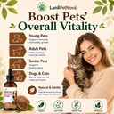 turkey-tail-mushroom-for-dogs-lipoma-sup-4.jpg