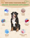 9-in-1-mushroom-supplement-for-dogs-dige-2.jpg