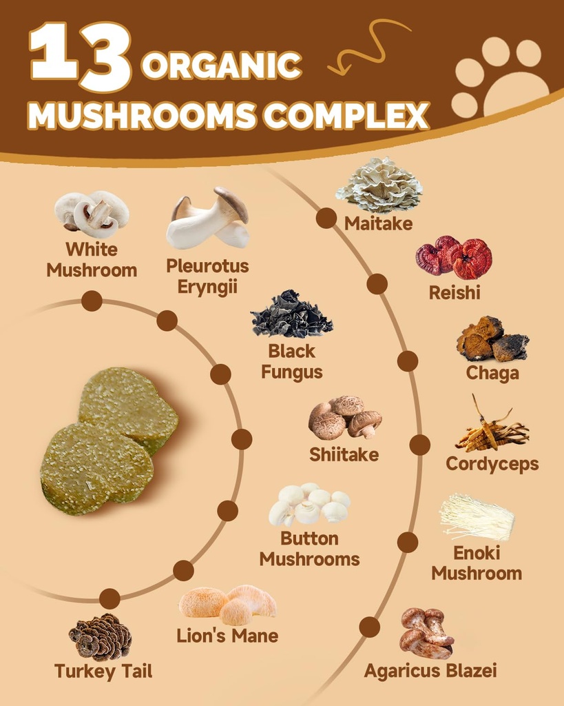 9-in-1-mushroom-supplement-for-dogs-dige-5.jpg
