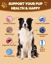9-in-1-mushroom-supplement-for-dogs-dige-3.jpg