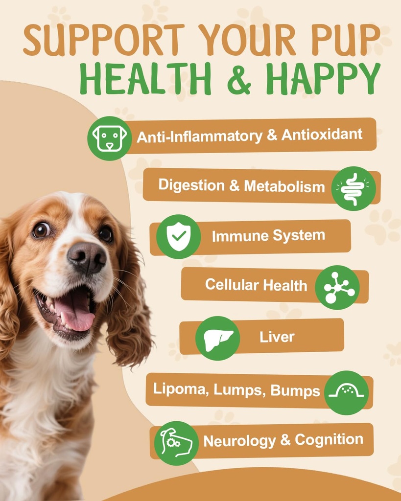 9-in-1-mushroom-supplement-for-dogs-dige-6.jpg