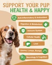 9-in-1-mushroom-supplement-for-dogs-dige-6.jpg