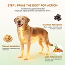 turkey-tail-mushroom-for-dogs-senior-dog-3.jpg