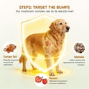 turkey-tail-mushroom-for-dogs-senior-dog-4.jpg