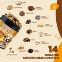 mushroom-chews-for-dogs-turkey-tail-mush-3.jpg