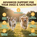 mushroom-for-dogs-cats-lumps-bumps-turke-4.jpg