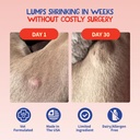 turkey-tail-mushroom-for-dogs-lipoma-tre-2.jpg