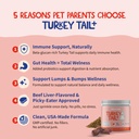 turkey-tail-mushroom-for-dogs-lipoma-tre-3.jpg