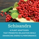 adrenergy-6-pack-best-process-alkaline-n-5.jpg