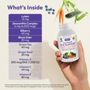 andrew-lessman-ultimate-eye-support-360--3.jpg
