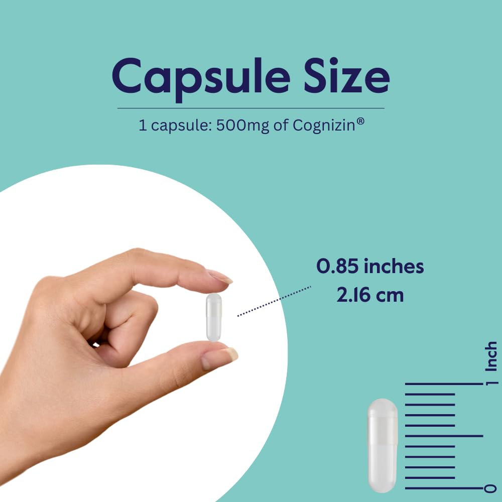bestvite-cognizin-citicoline-500mg-180-v-5.jpg
