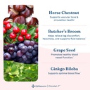 lifeseasons-circulari-t-blood-circulatio-4.jpg