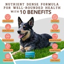 natural-dog-company-everyday-itch-relief-5.jpg