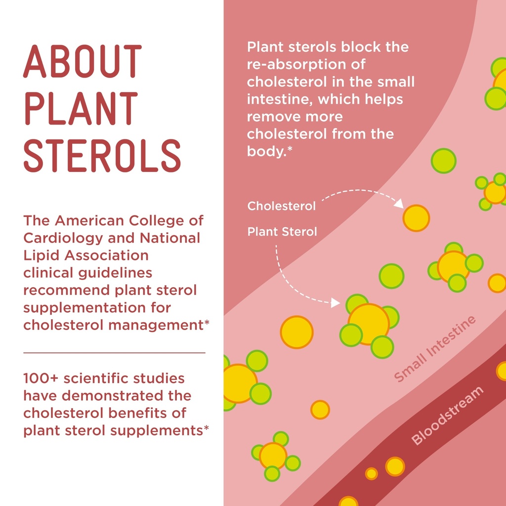 piper-biosciences-plant-sterols-healthy--6.jpg