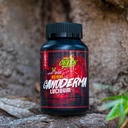 amazon-andes-healthy-sustainable-fair-re-3.jpg